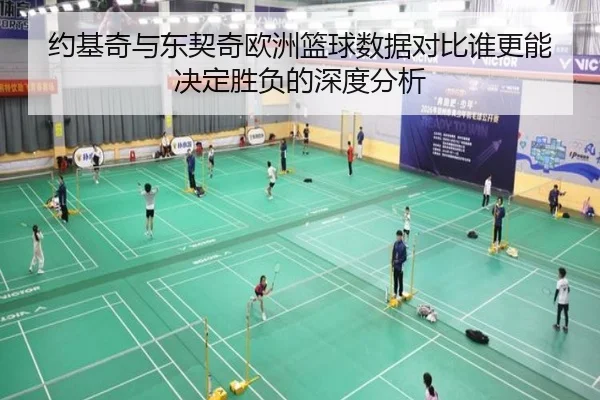 约基奇与东契奇欧洲篮球数据对比谁更能决定胜负的深度分析