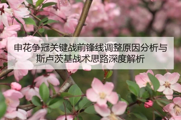 申花争冠关键战前锋线调整原因分析与斯卢茨基战术思路深度解析